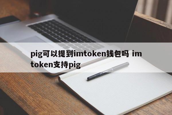 imtoken钱包提现支付宝_imtoken钱包能交易吗_